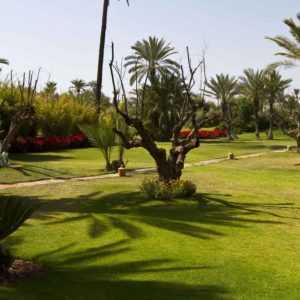 Terrains en vente à Marrakech