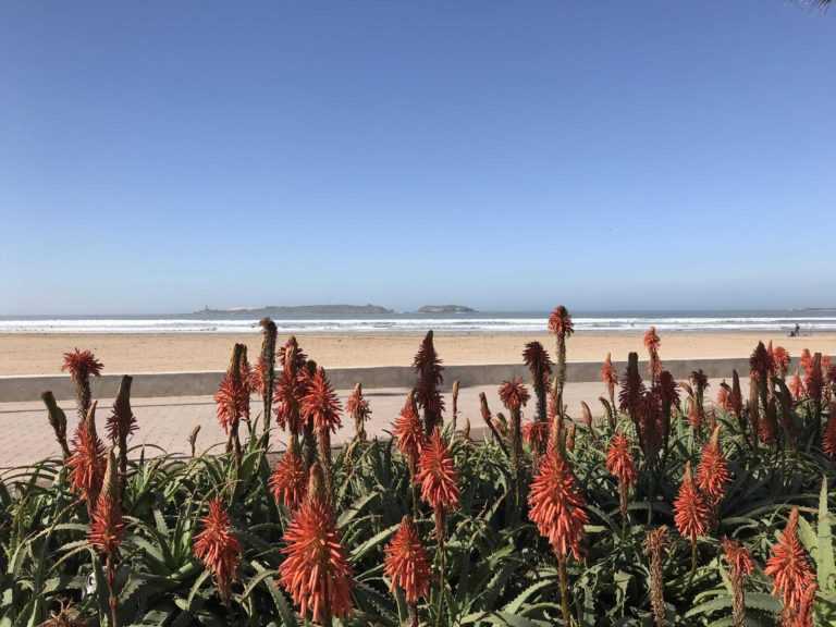 Ventes à Essaouira