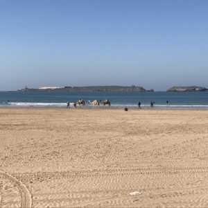 Restaurants en vente à Essaouira