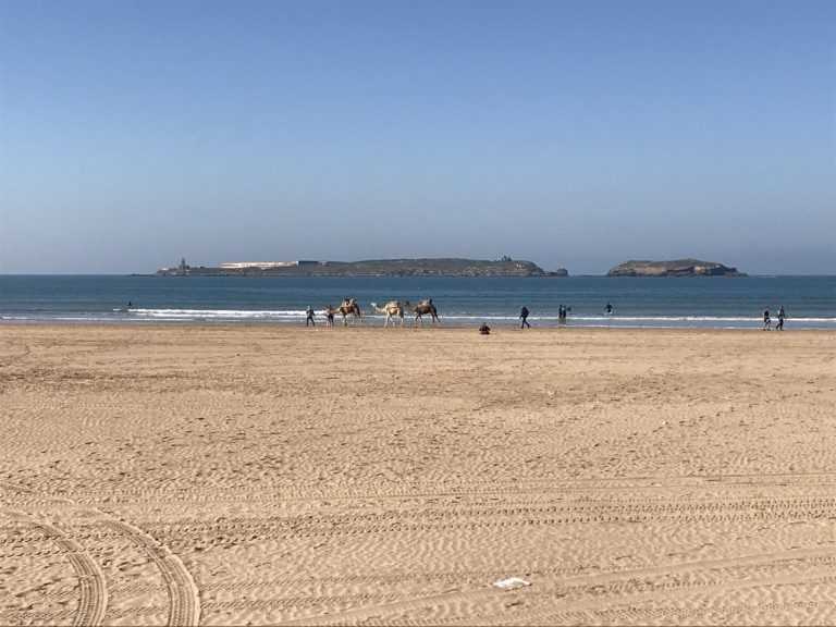 Restaurant en Location Gérance à Essaouira