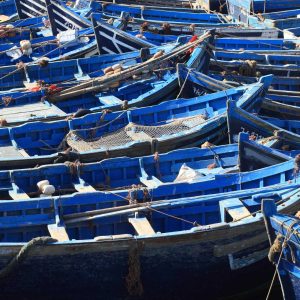agenda-essaouira