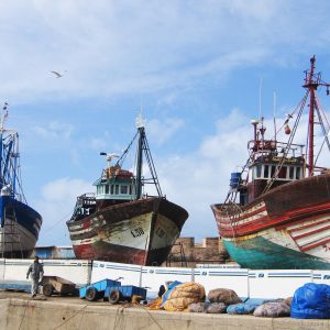 peche-essaouira pêche Essaouira