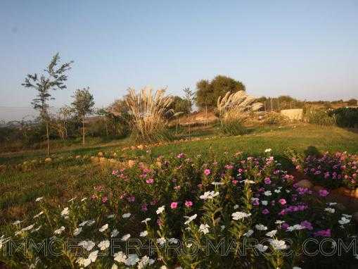 Terrain arboré avec un puits dans la campagne d'Essaouira