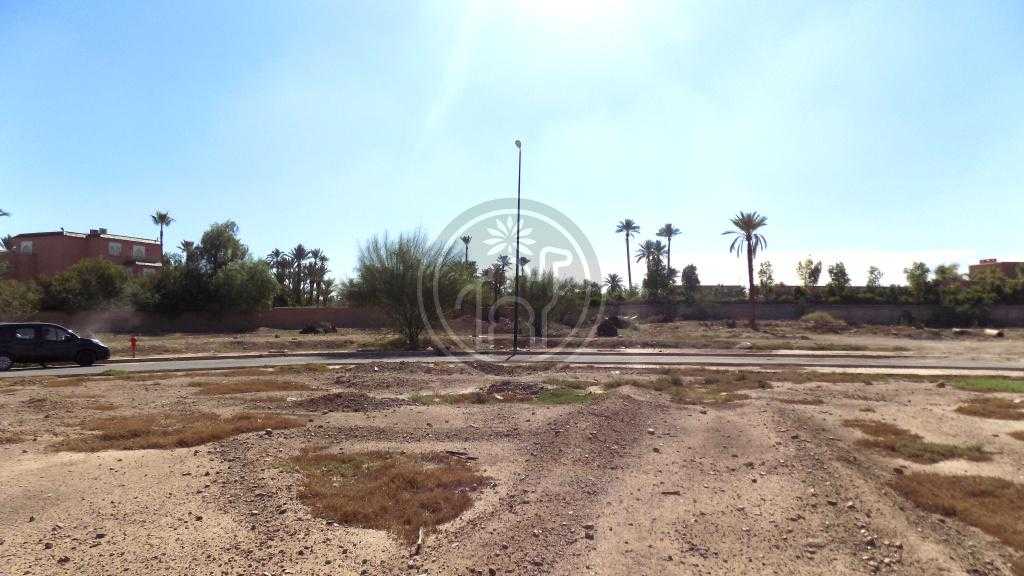 Terrain viabilise a construire  Palmeraie