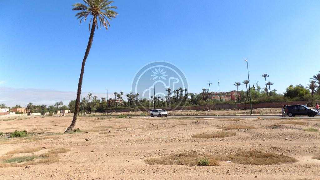 Terrain viabilise a construire  Palmeraie