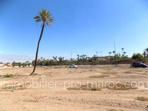 Terrain viabilise a construire Palmeraie
