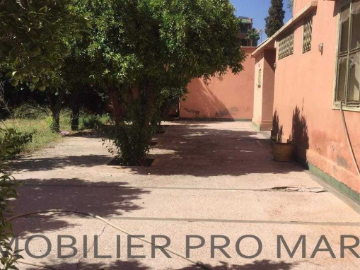 Exceptionnelle maison de ville -Koutoubia