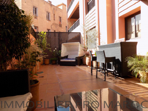 Grand F2 avec terrasse de 40m2