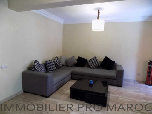 Grand F2 avec terrasse de 40m2