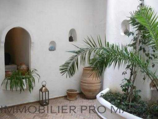 Riad meublé 3 chambres terrasse