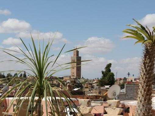 Authentique sublime Riad