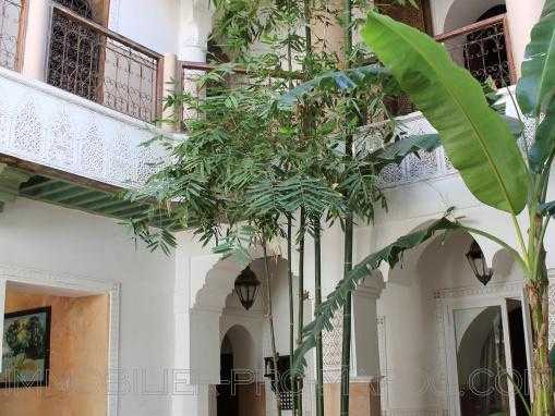 Authentique sublime Riad