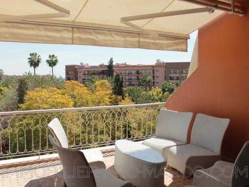 superbe appartement avec terrasse