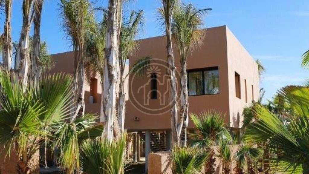 Splendide Villa Contemporaine, Palmeraie