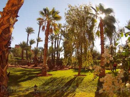 rez de jardin Palmeraie