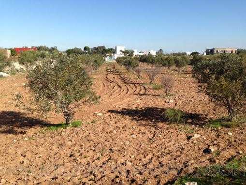 Terrain titré et clôturé de 5000m² à 8 Kms d'Essaouira