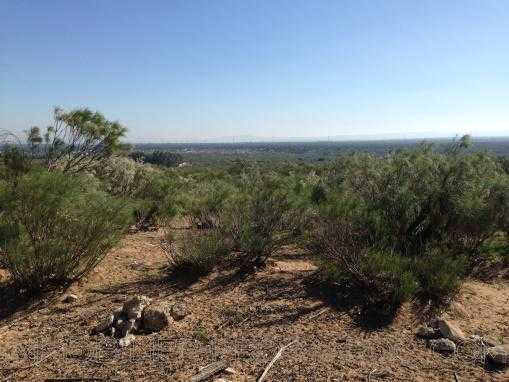 TERRAIN titré de 2 hectares en zone urbaine, à 8 Kms d'Essaouira