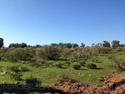 TERRAIN de 5300m², titré, vu dégagé sur la campagne à 8 Kms d'Essaouira