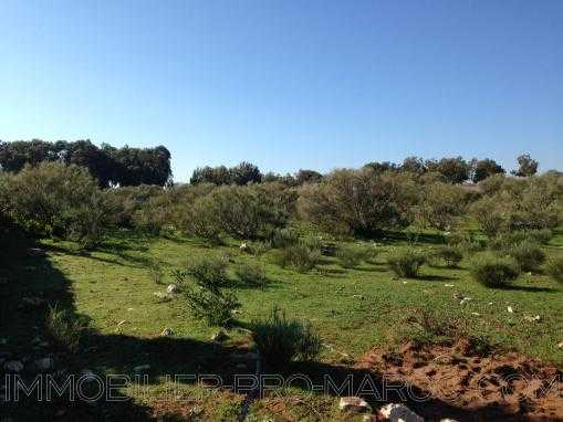 TERRAIN de 5300m², titré, vu dégagé sur la campagne à 8 Kms d'Essaouira
