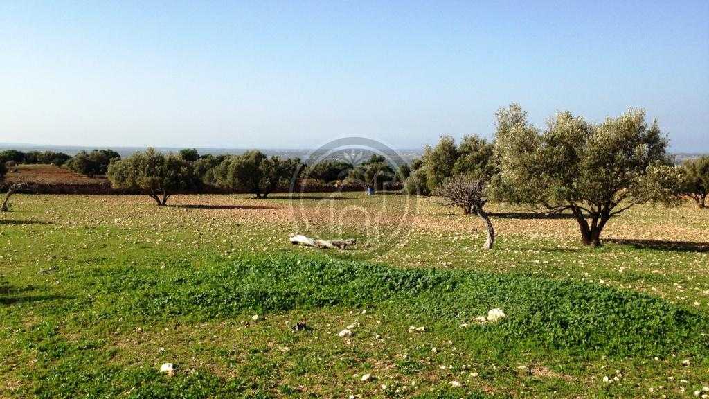 TERRAIN de 10Hectares titré, à seulement 14 Kms d'Essaouira
