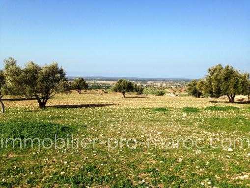 Vente Terrain Essaouira