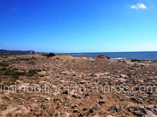 Terrain Essaouira