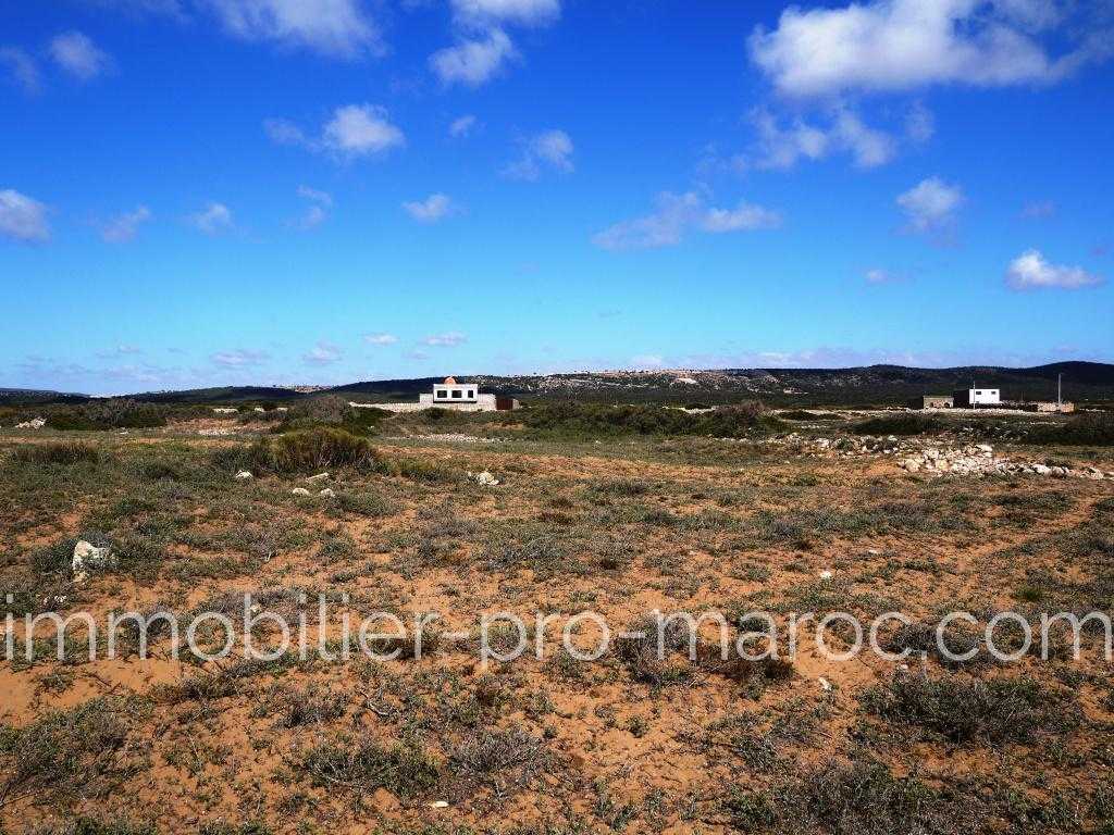 Terrain en Vente à Essaouira