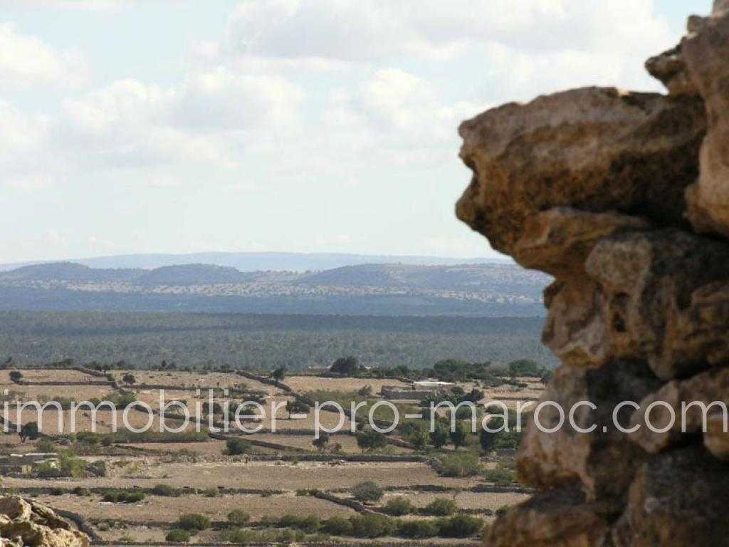 Terrain Distance de la ville 15 km