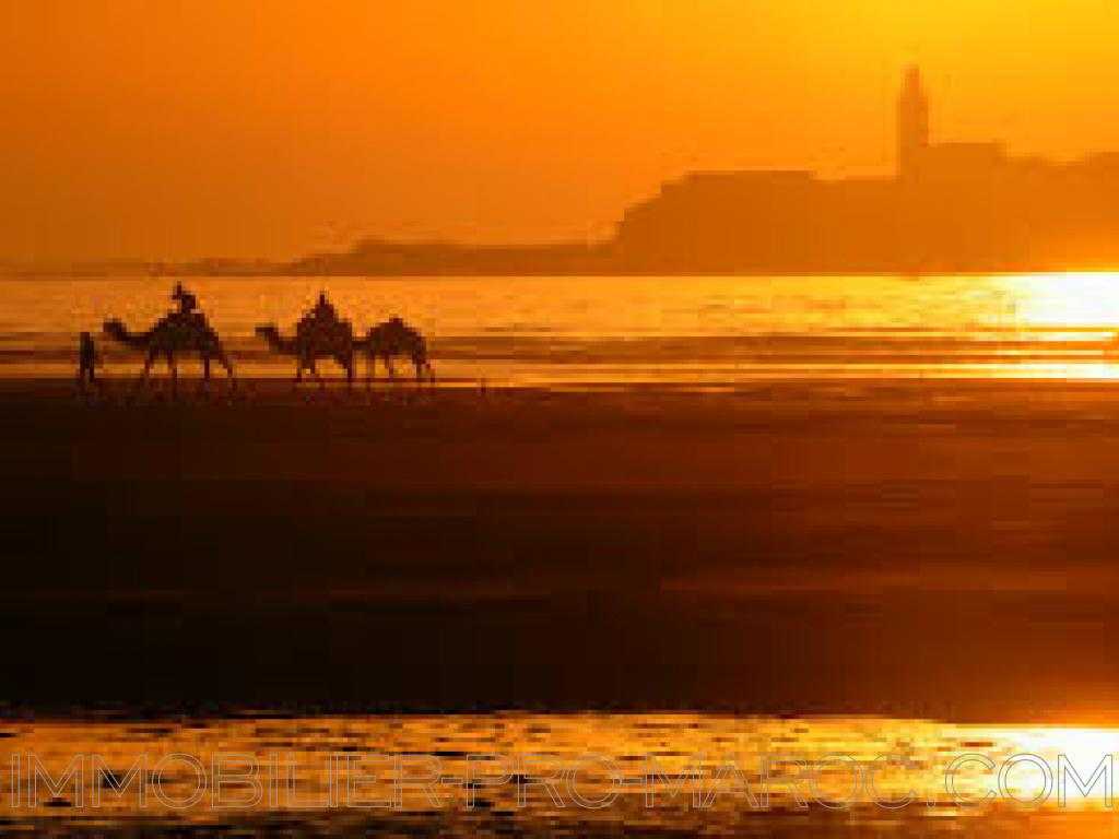 Terrain en Vente à Essaouira