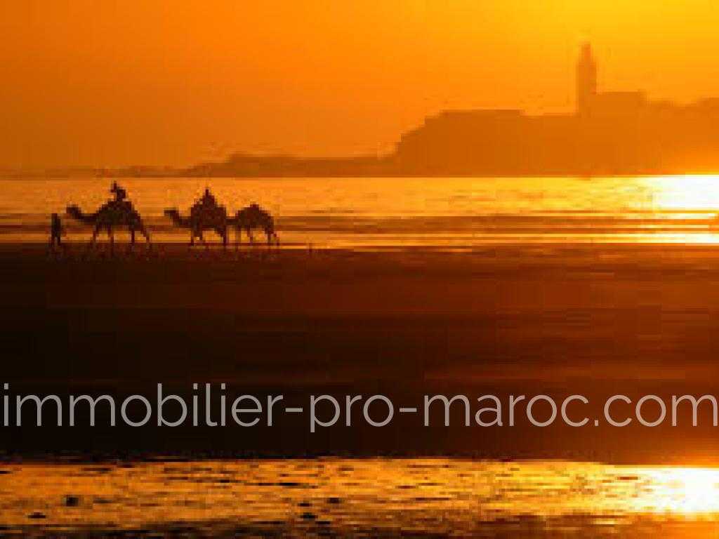 Terrain en Vente à Essaouira