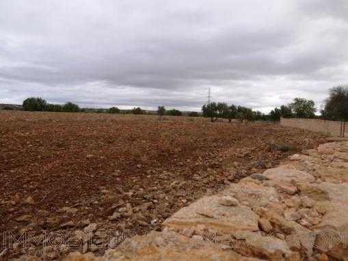 TERRAIN titré de 18000m², clôturé, à 17 Kms d'Essaouira