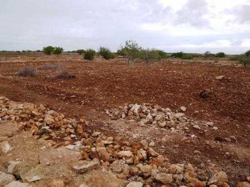 TERRAIN de 8000m², situé à 17 Kms d'Essaouira