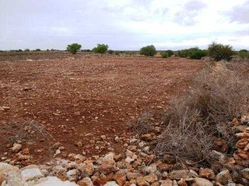 TERRAIN de 8000m², situé à 17 Kms d'Essaouira