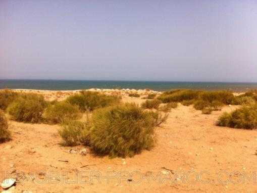 TERRAIN DE 11200M² VU MER sur la plage, à 25 Kms d'Essaouira