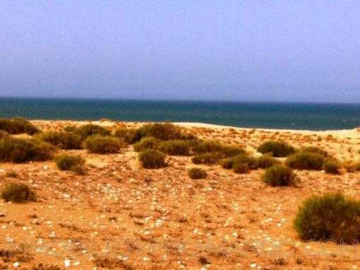 TERRAIN DE 11200M² VU MER sur la plage, à 25 Kms d'Essaouira