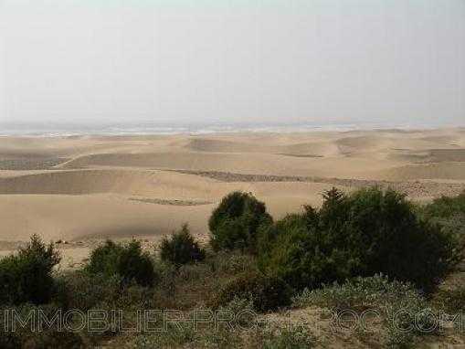  parcelles de 6600 M² a 17 895m2 vue mer sur la plage à qlqs Km au Nord d'Essaouira.