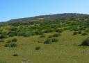 Terrain todo