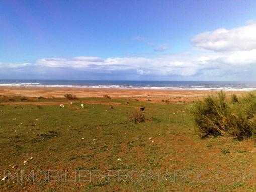 TERRAIN 9680m2 vu mer à 31 Km au nord d'Essaouira