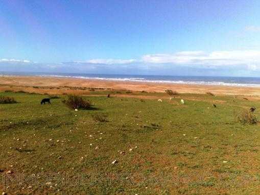 TERRAIN 9680m2 vu mer à 31 Km au nord d'Essaouira