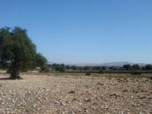 TERRAIN 2 hectares à Ida Gourd avec vue sur l'atlas au milieu des arganier
