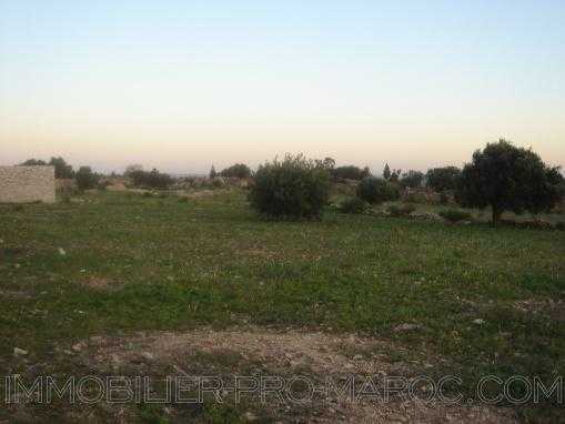TERRAIN 12000m² à 15 km au nord d'Essaouira avec petite maison