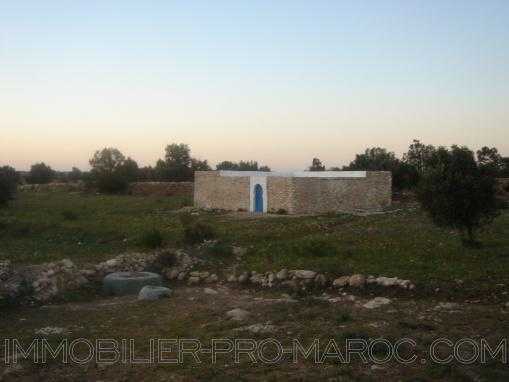 TERRAIN 12000m² à 15 km au nord d'Essaouira avec petite maison