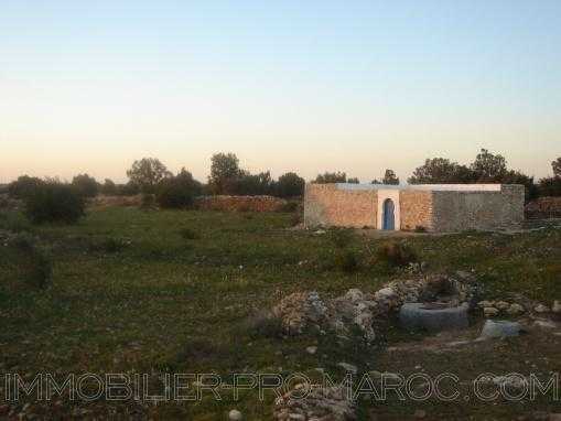 TERRAIN 12000m² à 15 km au nord d'Essaouira avec petite maison