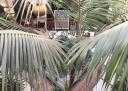Riad todo