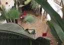 Riad