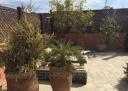 Riad en Vente