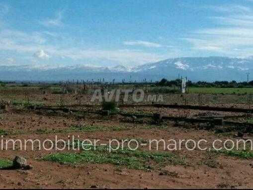 Terrain Marrakech