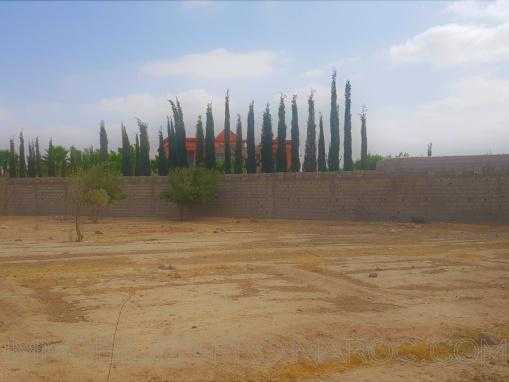 TERRAIN TITRE 4000 M² CONSTRUCTIBLE A 10 MN DE TAROUDANT
