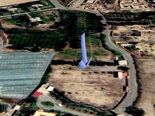 TERRAIN TITRE 4000 M² CONSTRUCTIBLE A 10 MN DE TAROUDANT