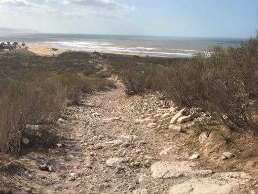 Beau terrain ,1 HA front de mer en zone urbaine